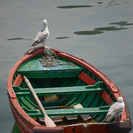 Amalur Ebi 741 Urdaibai Appartamento Axpe de Busturia