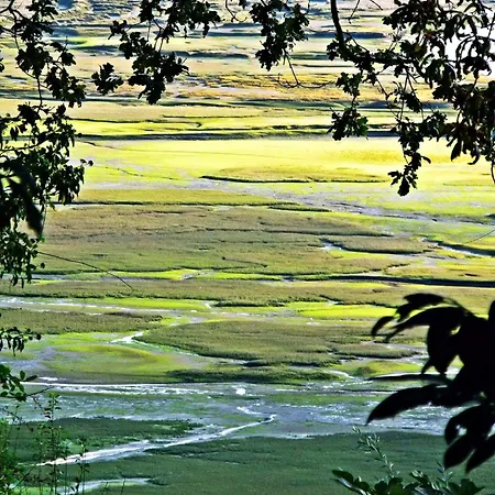 Apartment Amalur Ebi 741 Urdaibai