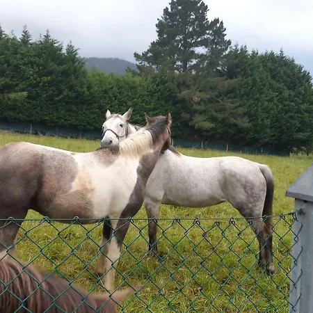 Lägenhet Amalur Ebi 741 Urdaibai