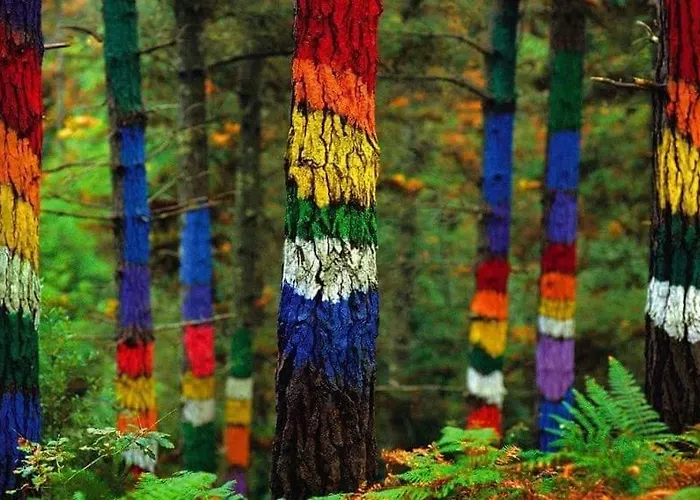 Amalur Ebi 741 Urdaibai * Axpe de Busturia