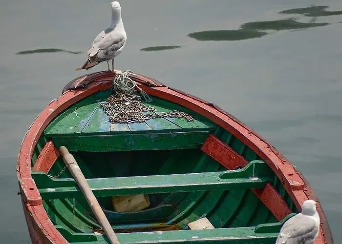 Amalur Ebi 741 Urdaibai Apartment Axpe de Busturia