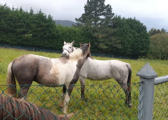 Apartment Amalur Ebi 741 Urdaibai